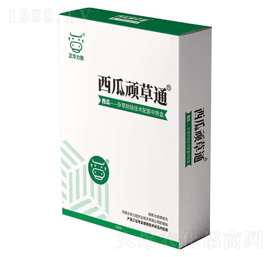 �����B��ͨ-���A����