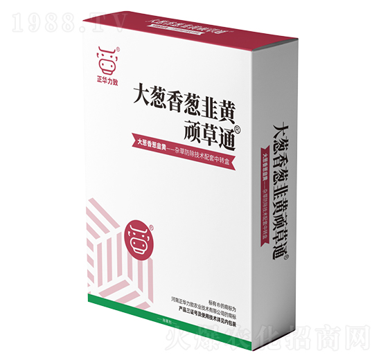 ���[�����[�����S�B��ͨ-���A����