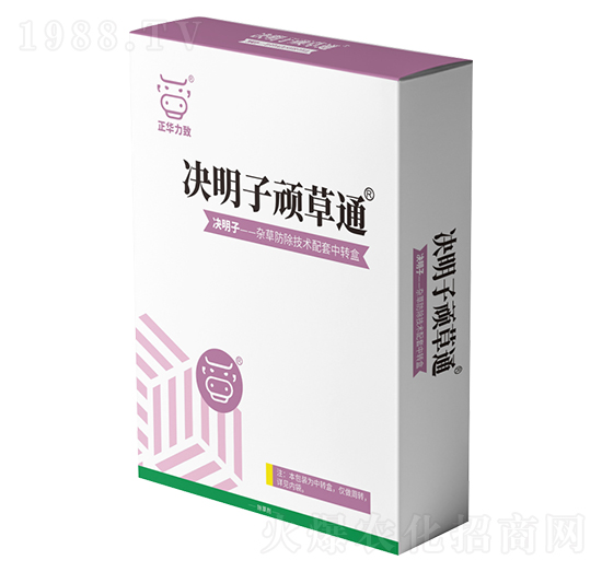 �Q�����B��ͨ-���A����