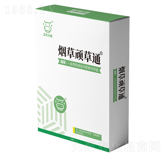 �����B��ͨ-���A����