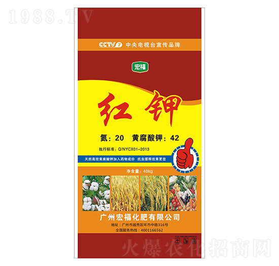 �t�-�������