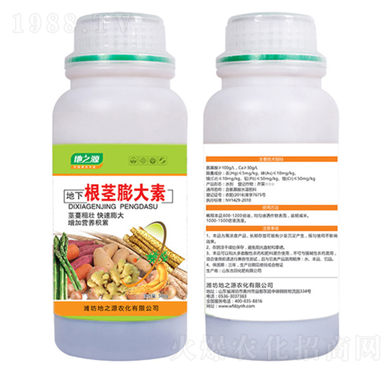 ���o�����-�����r�I(y��)