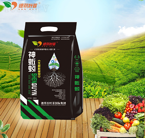 ��������������-�°��~��