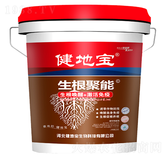 ��������-���،�