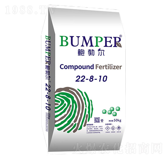 �ͺϷ���22-8-10-�U����-����ʢ�S