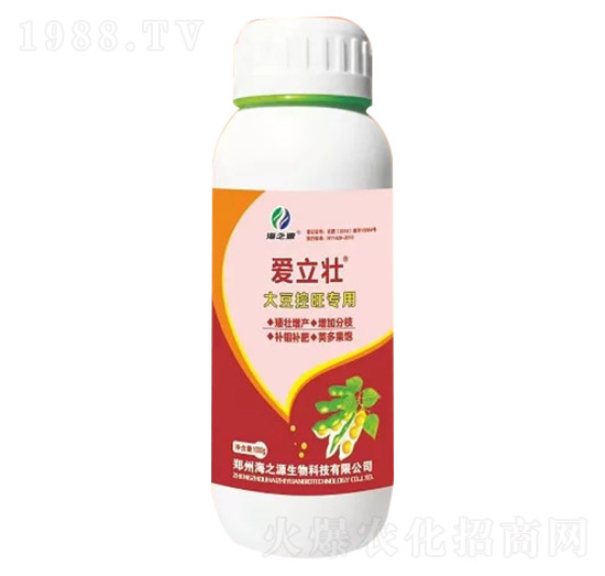 �󶹿�������-������-��֮Դ