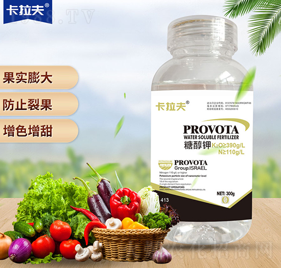 �Ǵ��-������