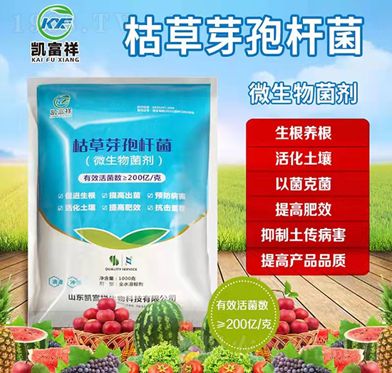 �ݲ�ѿ�ߗU��-�P����