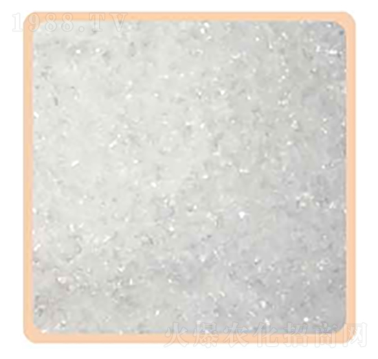 �����V-���P����