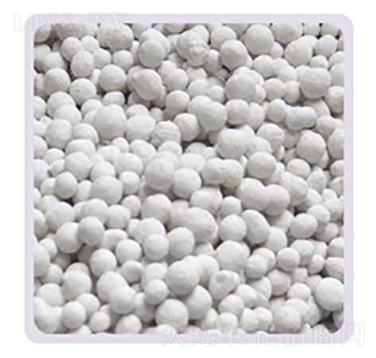 ���-���P����