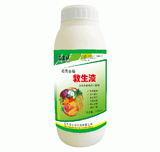 ���Sή�s����Һ-��ʿ��