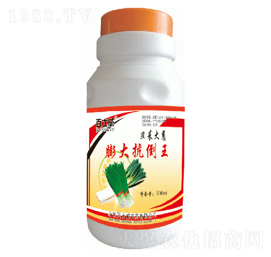 �²˴��[��󿹵���-��ʿ��