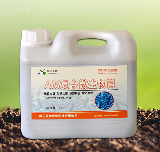 AM�ͺ�΢�����-��������