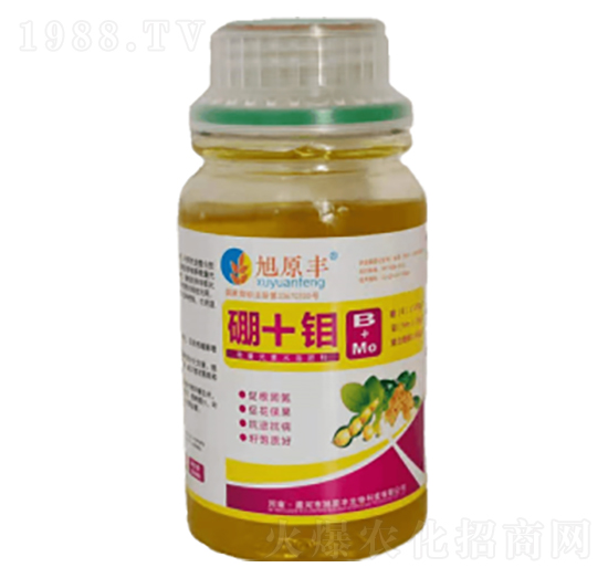 �Ǵ���+�f-��ԭ�S