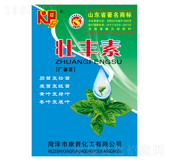 ���S��-���շʘI(y��)