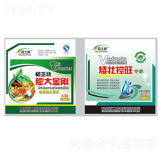 ���o�K������+���ѿ���-��ʿ��