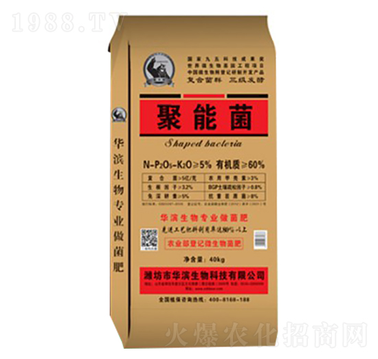 ���ܾ�-�A�I����