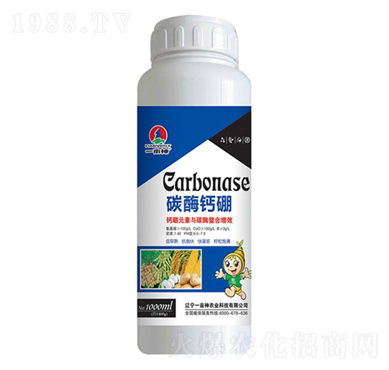 ̼ø�}��-һ����