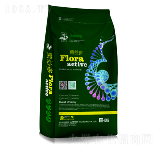 ����ࣨ�G��-�W���o