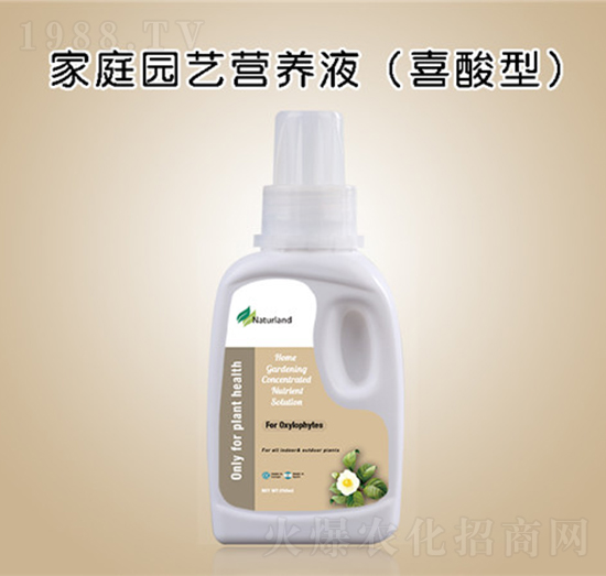 ��ͥ�@ˇ�I(y��ng)�B(y��ng)Һ��ϲ���ͣ�-�{��