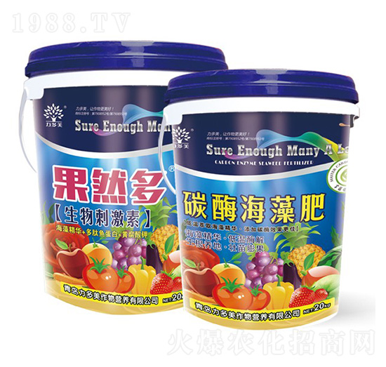 ̼ø�����-��Ȼ��-�r(n��ng)ʥ��