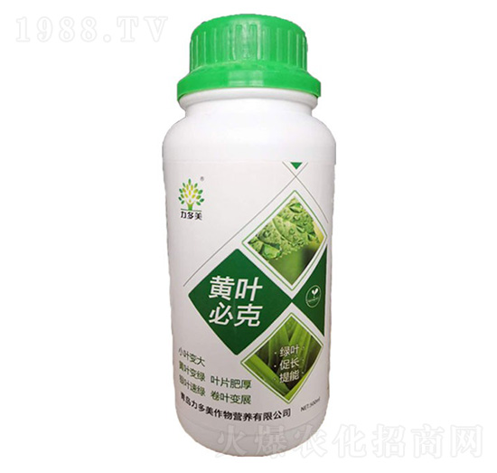 �S�~�ؿ�-������-�r(n��ng)ʥ��