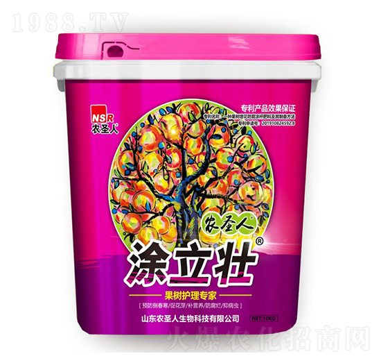 ����(sh��)�o(h��)�팣(zhu��n)��-Ϳ����-�r(n��ng)ʥ��