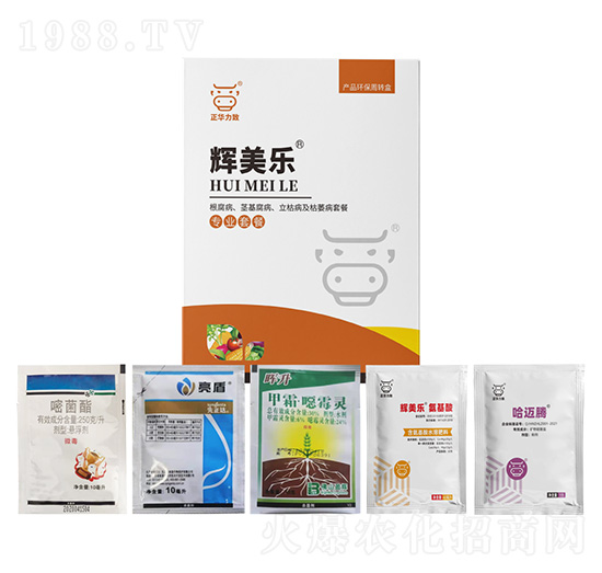 ���������o�����������ݲ�����ή���ײ�-�x����-���A����