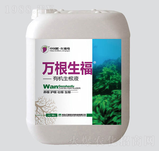 �f�������ЙC����Һ-�t����