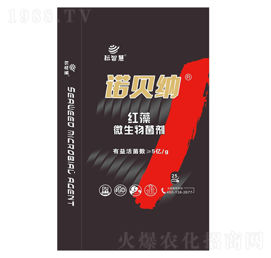 �Zؐ�{�t��΢�������-���ǻ�