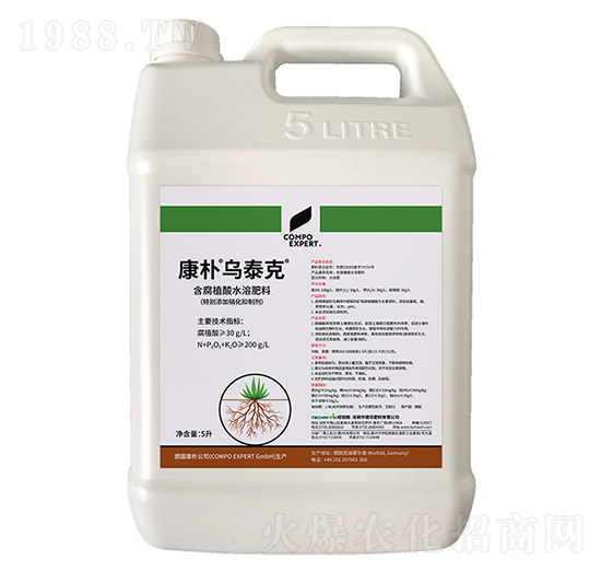 �����̩��-����