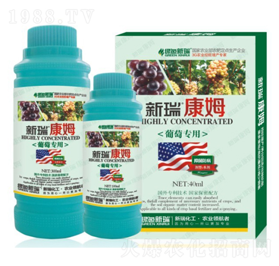 ���ь�(zhu��n)���~���-����