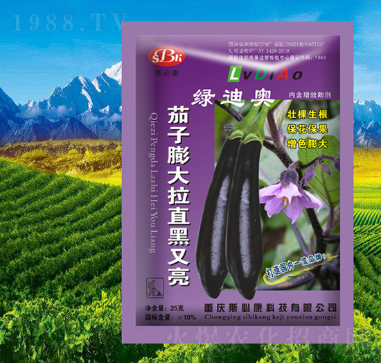 ���������ֱ������-�G�ϊW-˹�ؿ�