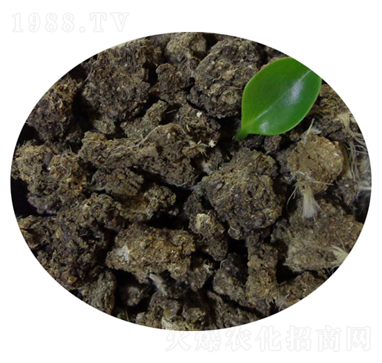 干雞糞肥-碩田生物