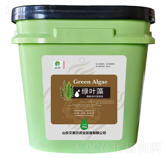 酶解泡葉藻原液-綠葉藻-艾美爾