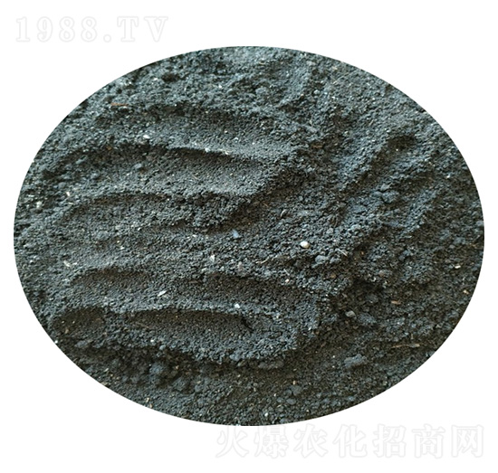 �G����-ʥ������