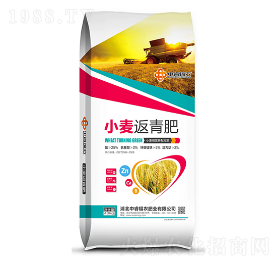 С�������-�긣��ʢ