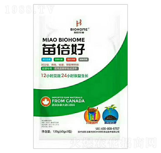 ���ڌ�(zhu��n)���籶��-�����r(n��ng)�I(y��)