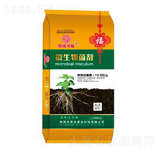 ΢�������-���R��