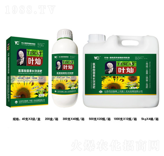 ��������������LЧҺ��-�~�N-�»�