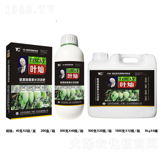 â������������LЧҺ��-�~�N-�»�