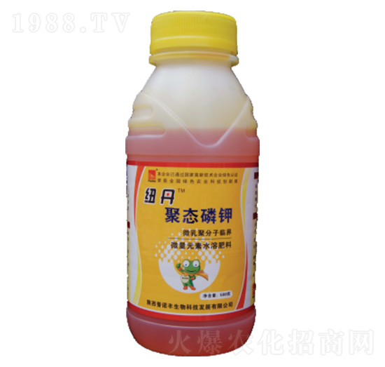 �~���ۑB(t��i)���-���Z�S