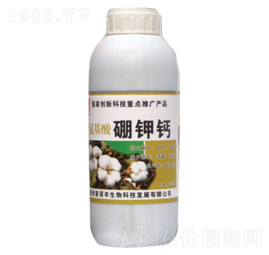 ����������}-���Z�S