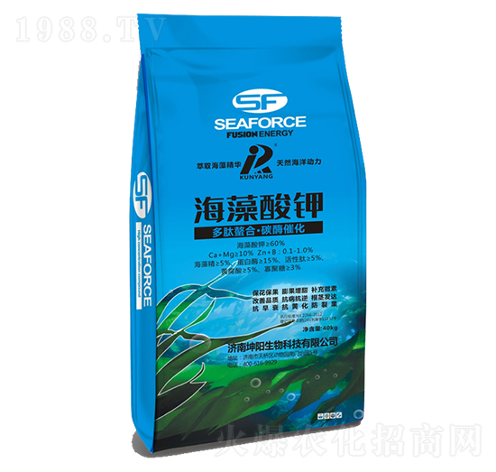 �������-���(y��ng)����