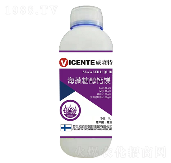 �����Ǵ��}�V-���ֺ�