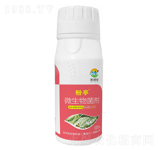 �������-��ͤ-�ֳ�Ԫ-�֠���(y��u)