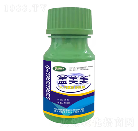 �w����5G�W(w��ng)�ľ۹Ȱ���-���}ͨ