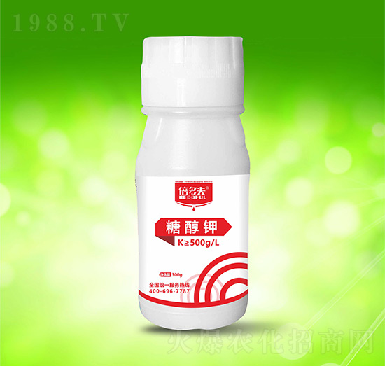 �Ǵ��-�����