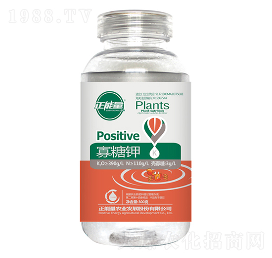 300g�����-������