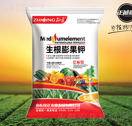 ��������-֪��-������